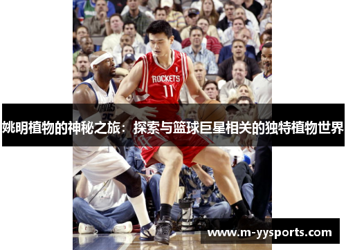 姚明植物的神秘之旅：探索与篮球巨星相关的独特植物世界