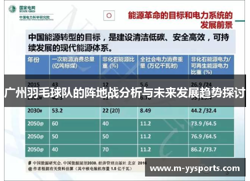 广州羽毛球队的阵地战分析与未来发展趋势探讨
