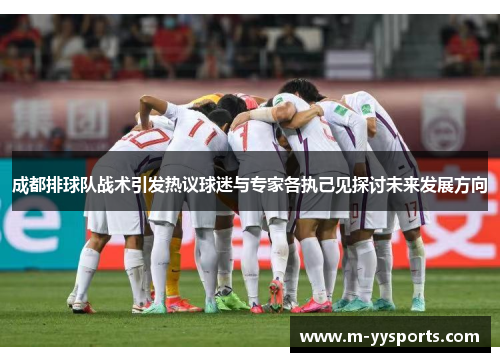 成都排球队战术引发热议球迷与专家各执己见探讨未来发展方向